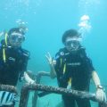 Benoa scuba diving 3