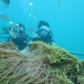 Benoa scuba diving 4